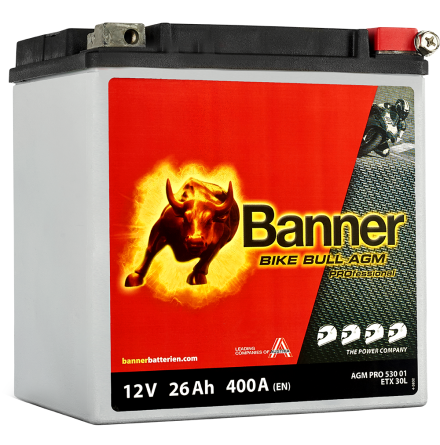 Banner Mc Batteri AGM PRO ETX30L 12V 26Ah