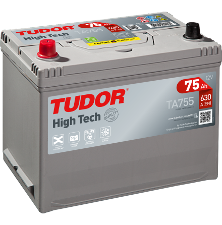 Batterie 12V 70Ah Red Power (Marke von Banner) Neutral für T80 T84