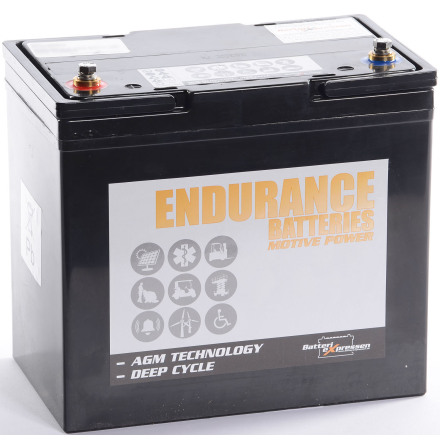 ENDURANCE AGM Batteri 12V 65Ah CCA462A